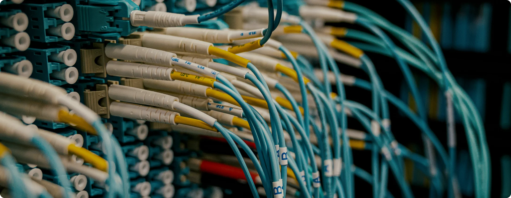 Immersive Learning to Advanced